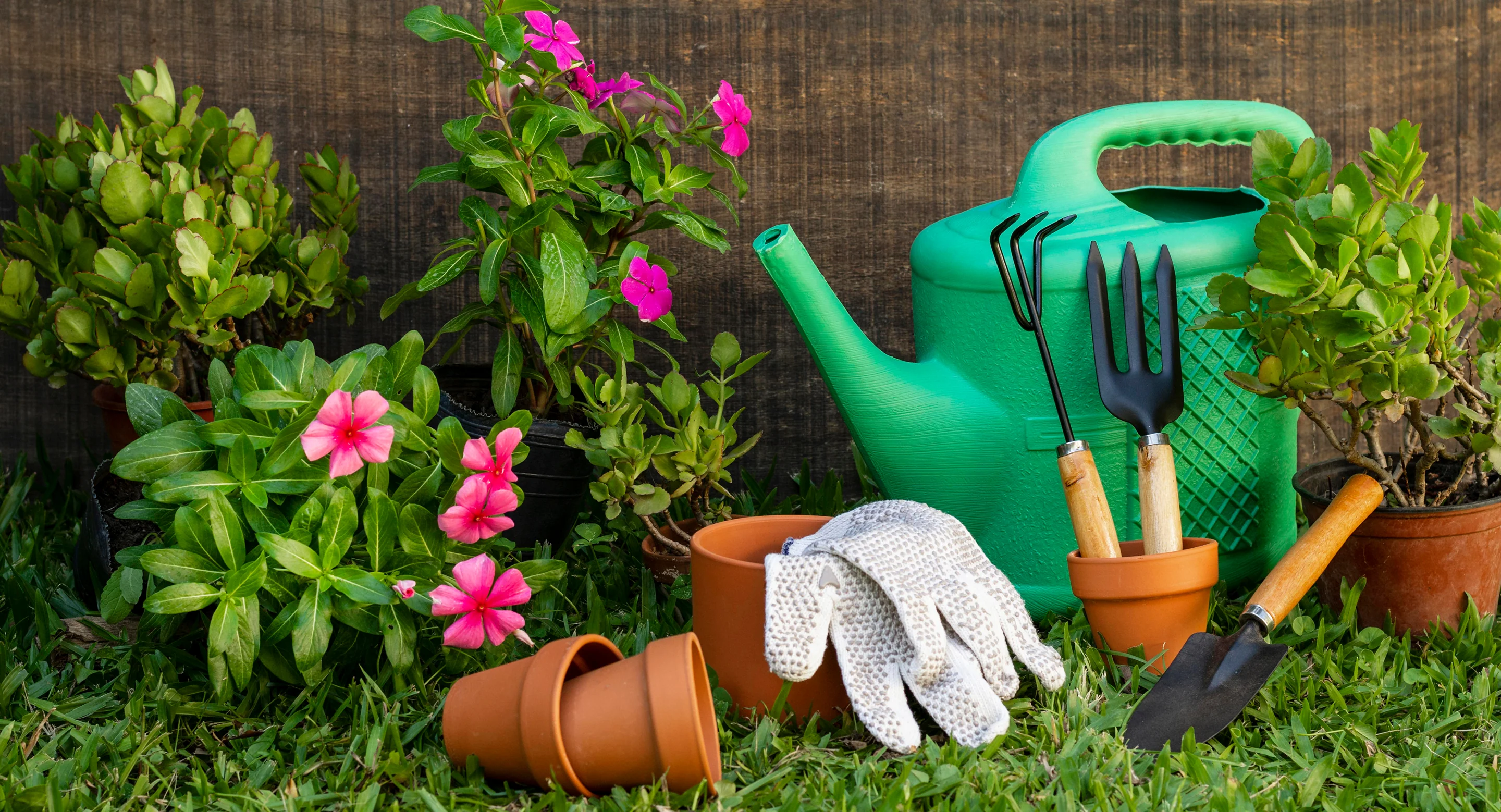 Enchant Your Outdoor Sanctuary